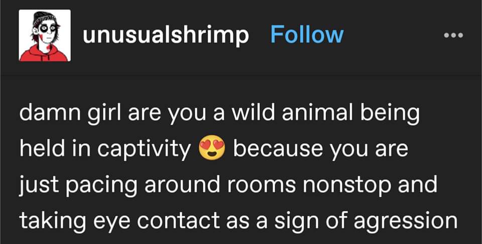 This pickup line is getting a little too real for my introverted self. Anyone else feel personally attacked?