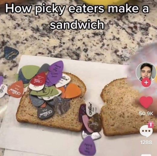 When you're a picky eater and your 'sandwich' is just bread with guitar picks
