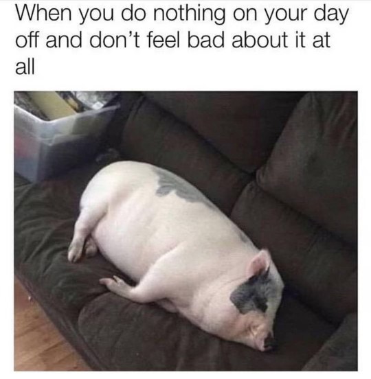 This is literally me when I have a day off and decide to achieve peak laziness.