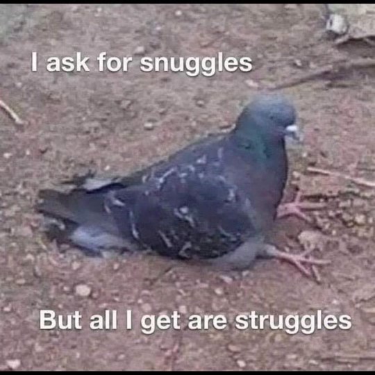 Me asking for affection when I'm feeling down, but life just keeps hitting me.