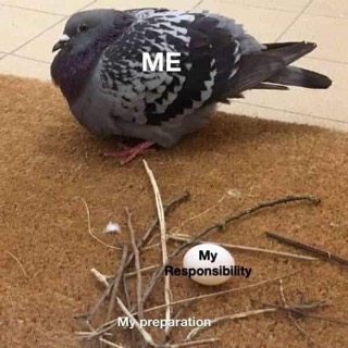 Me: *does absolutely nothing* My responsibility: *exists*