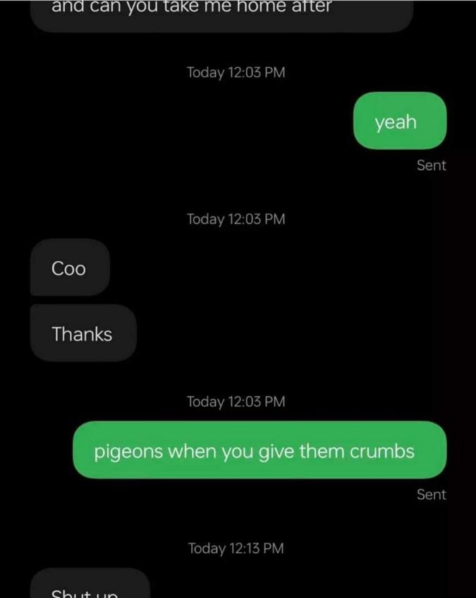 When you're a pigeon and someone says you can have crumbs