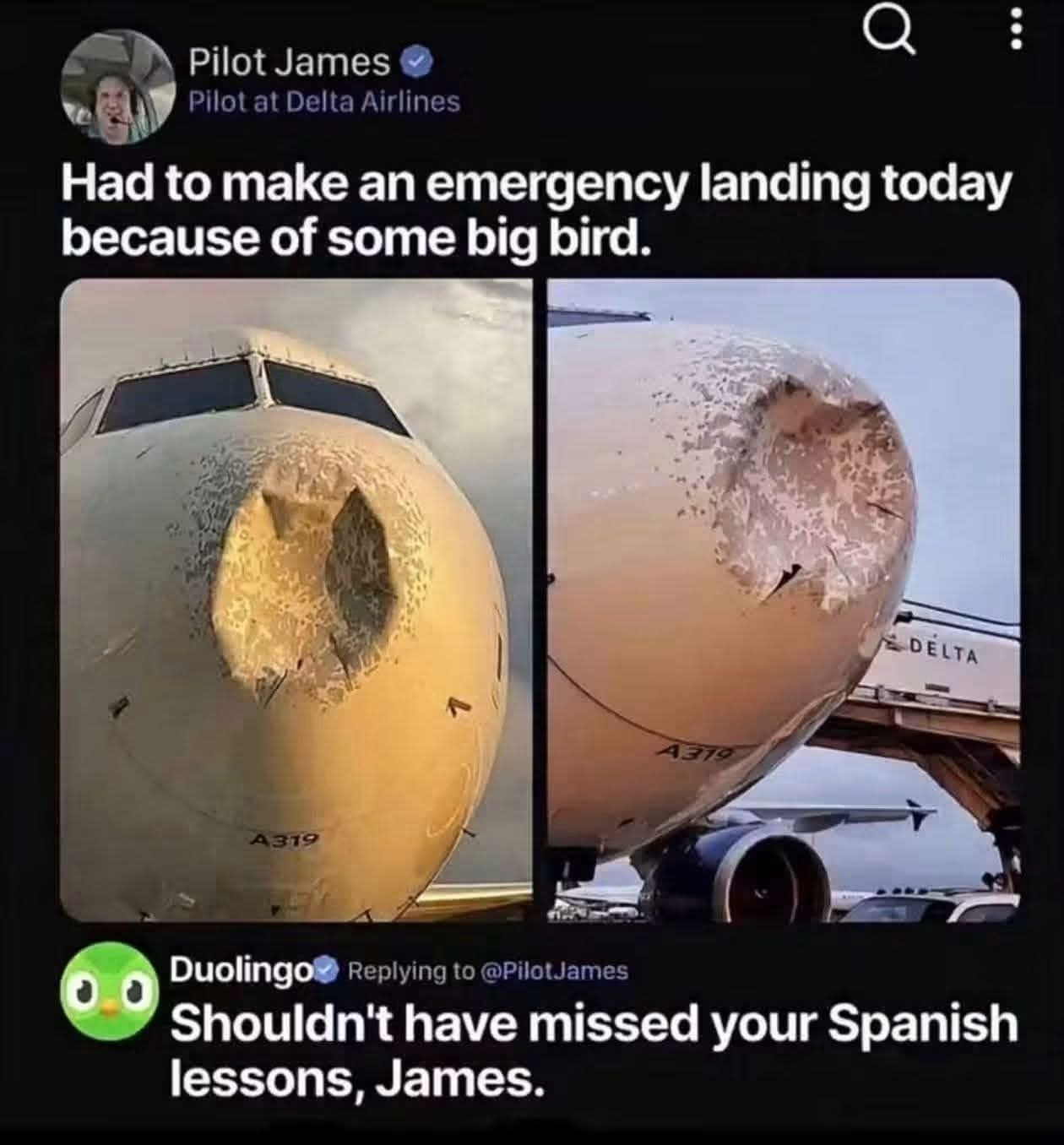 Duolingo roasting a pilot after he had to emergency land because of a bird strike. Ouch.