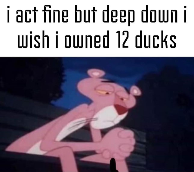 Me pretending to be fine when really I just want a dozen ducks