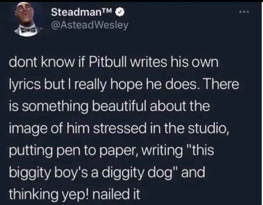 I can't stop thinking about Pitbull stressing in the studio to write 'this biggity boy's a diggity dog' and thinking he nailed it.