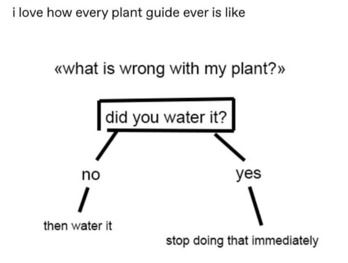 plant care guides really be like: 'Did you water it?' 'No.' 'Okay, water it.' 'Yes.' 'Stop that immediately.'