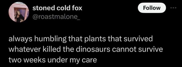 Me trying to keep a plant alive after it survived the actual extinction of the dinosaurs