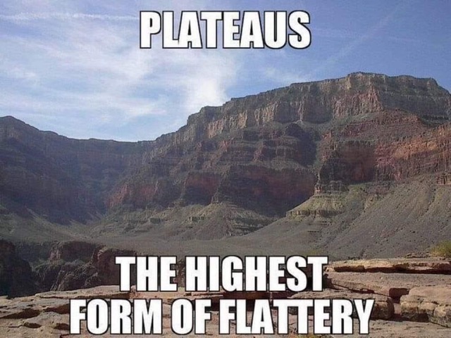 So the highest form of flattery is literally a plateau? I see what they did there