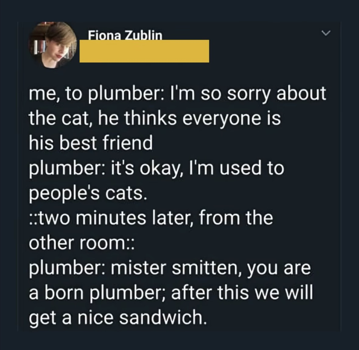 When the plumber instantly bonds with your cat and starts speaking fluent cat.