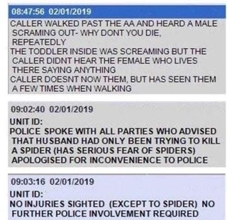 So this guy called the police because a married couple was arguing, turns out he was just trying to kill a spider.