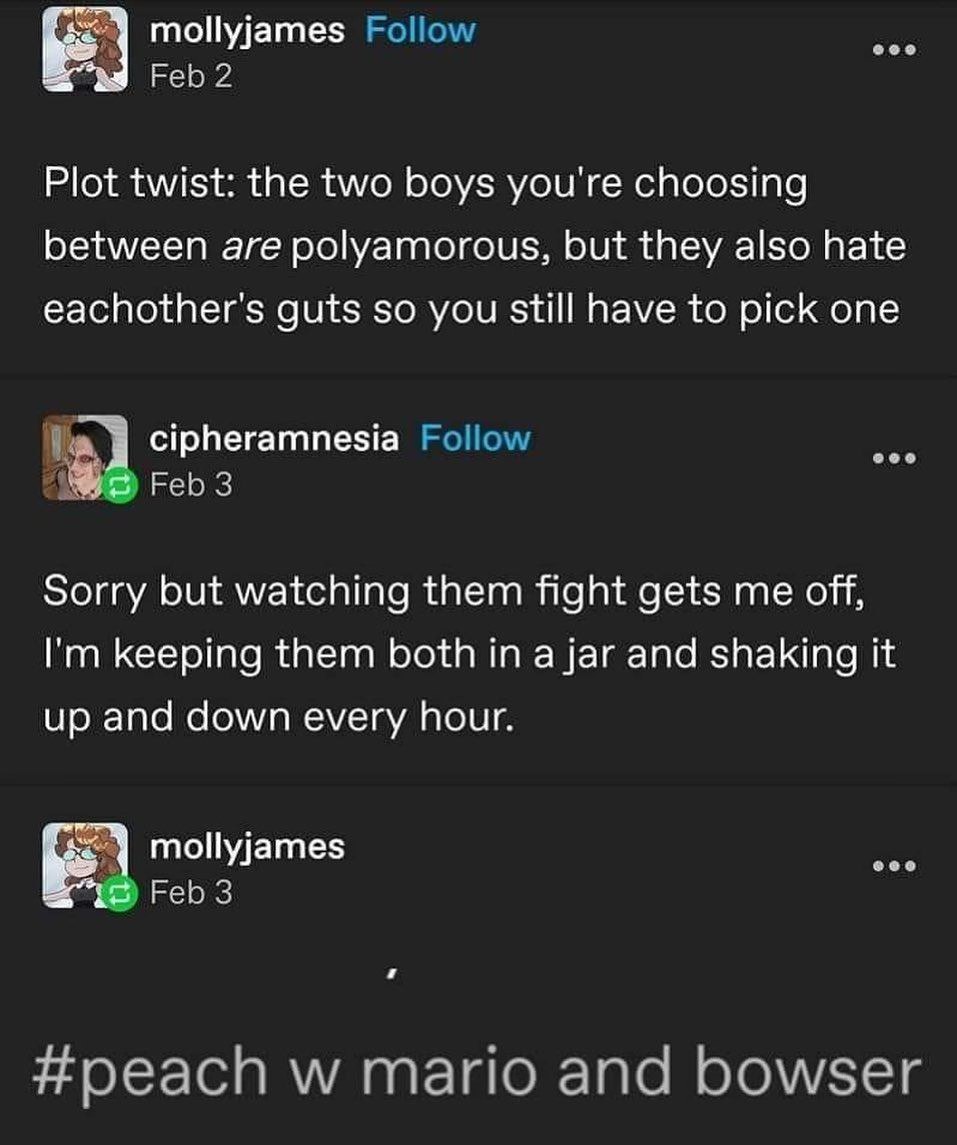 When your two polyamorous boyfriends hate each other but watching them fight is your kink so you put them in a jar and shake it.