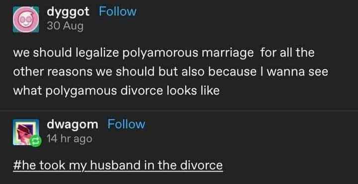 Someone wants to legalize polyamorous marriage just to see the chaos of a polygamous divorce. I'm with it.