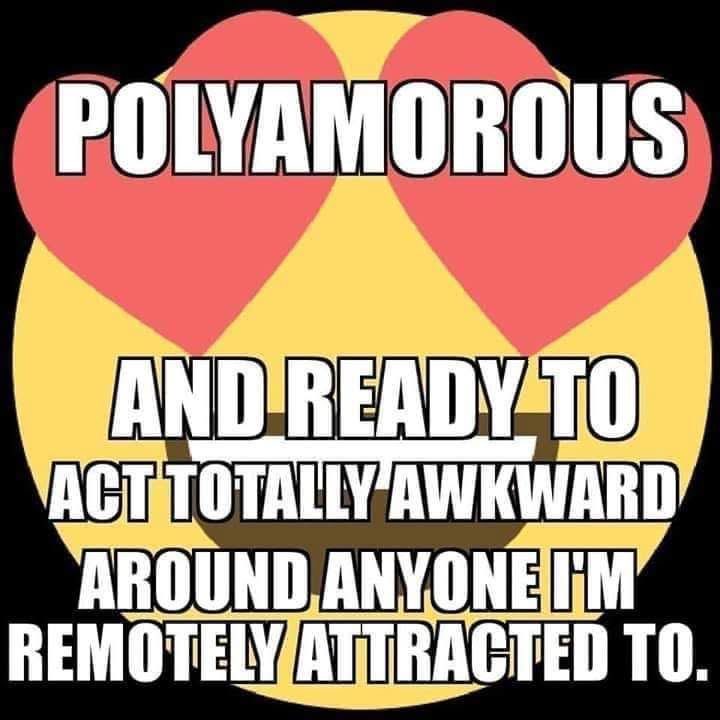 Me saying I'm polyamorous but also ready to act like a total doofus around anyone I'm interested in