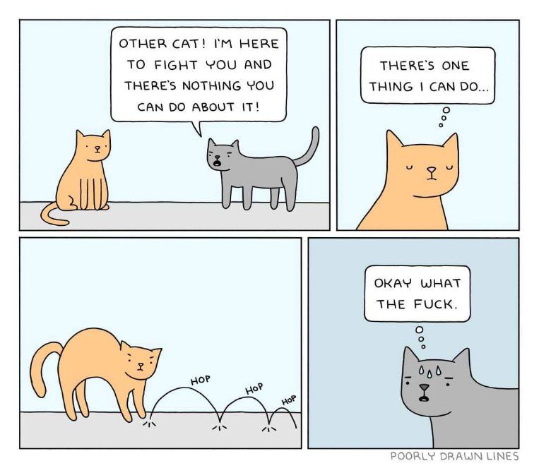 When you think you're tough but then the other cat just starts hopping and you have no idea what to do