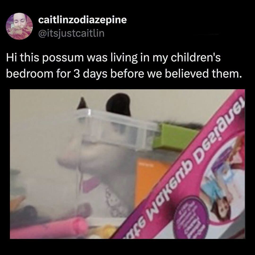 When you tell your parents something is in your room but they don't believe you until it's too late.