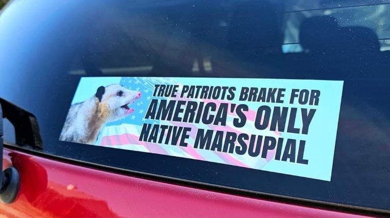 Gotta brake for the only real American marsupial, obvi