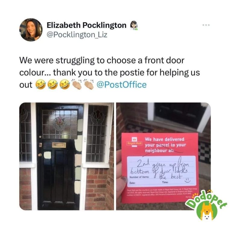 When the mail carrier makes the executive decision on your front door color for you. Guess they really liked that green.