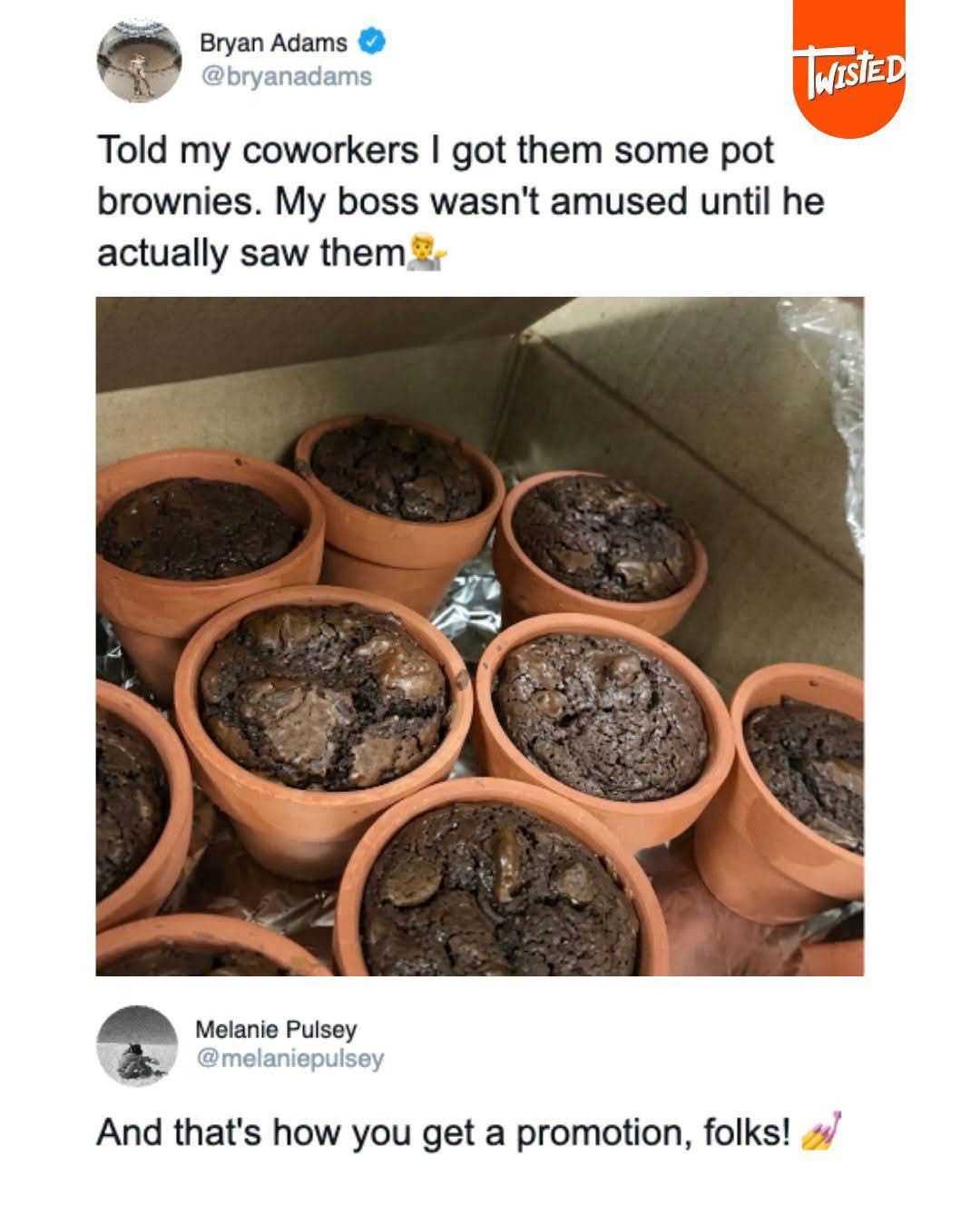 When your boss wasn't amused by pot brownies until they actually saw them lol