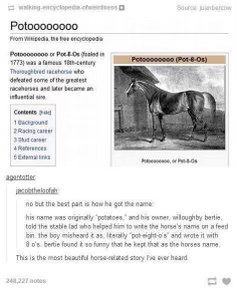 When you hear the origin story of a horse's name and it's just... potato-eight-os