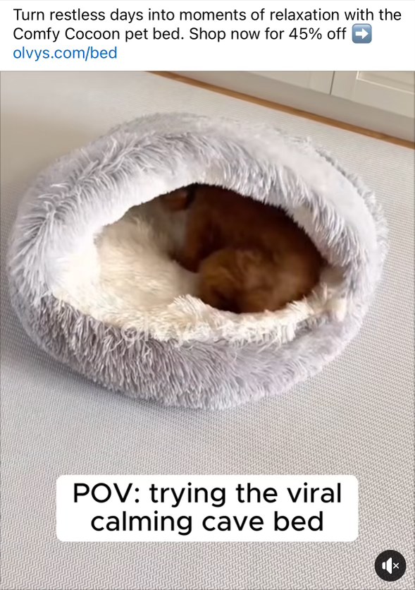POV: Trying out that super popular calming pet bed everyone's going on about.
