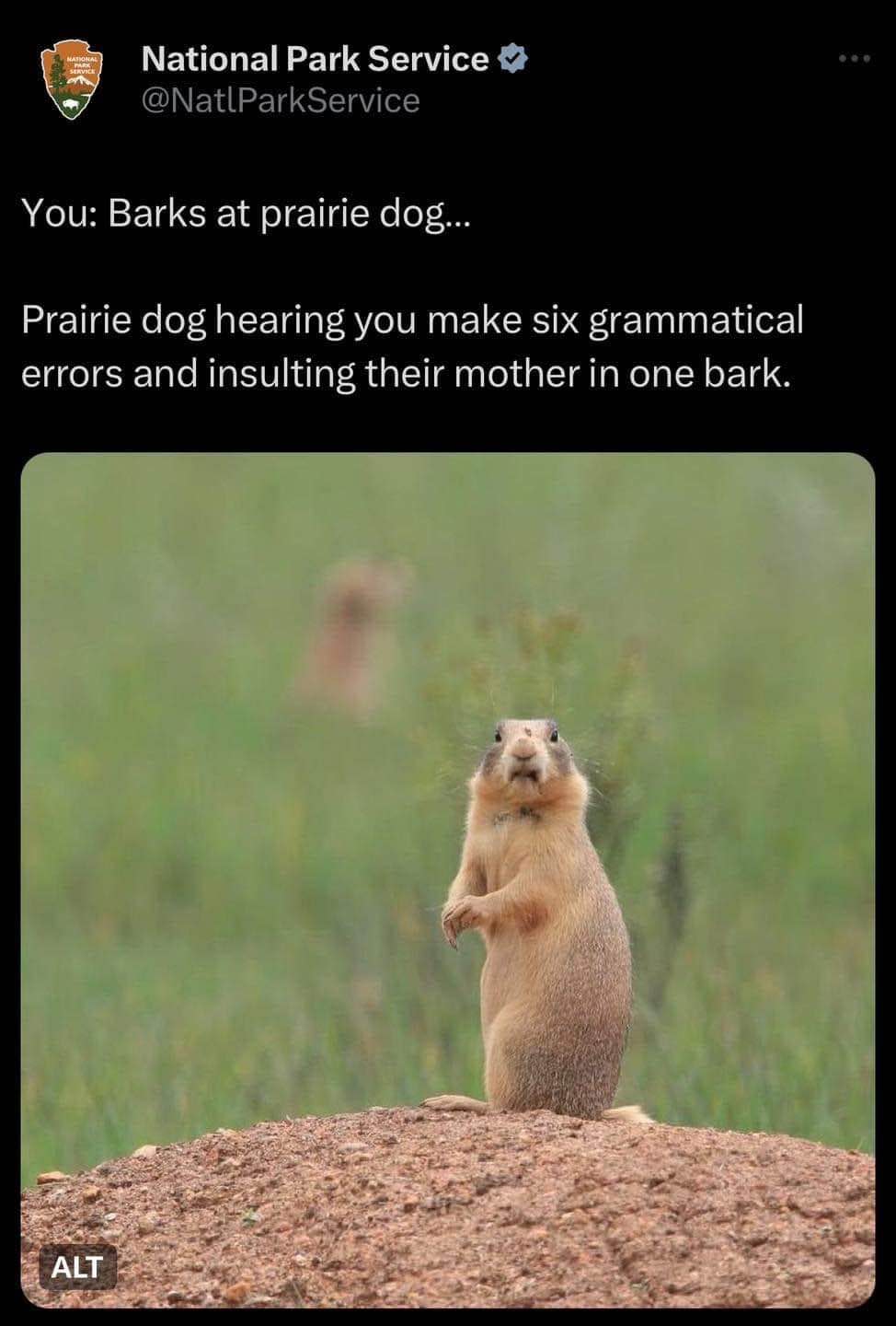 When you try to communicate with wildlife but you just insult their whole family tree