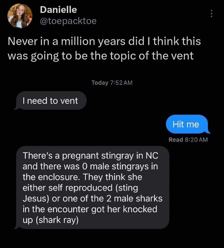 When you ask your friend to vent and they tell you about a pregnant stingray possibly getting knocked up by a shark