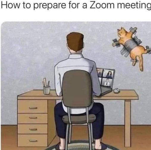 Me prepping my cat to make sure it doesn't interrupt my important Zoom call