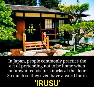 LOL they literally have a word for the 'not home' strategy. 
IRUSU for the win.