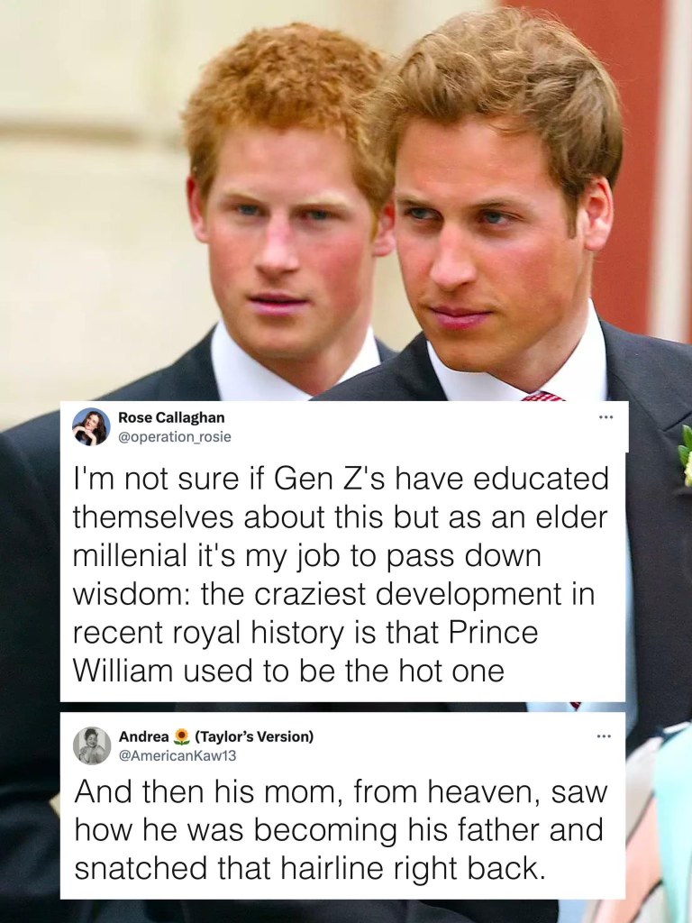 LOL apparently Prince William used to be the attractive brother and his mom took his hairline back from heaven. The chokehold this tweet has on me.