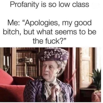 Me using fancy words to insult someone when they say profanity is low class.