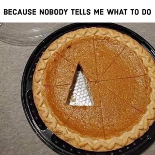Guess I'll just eat the triangle piece of pie since nobody can tell me not to.
