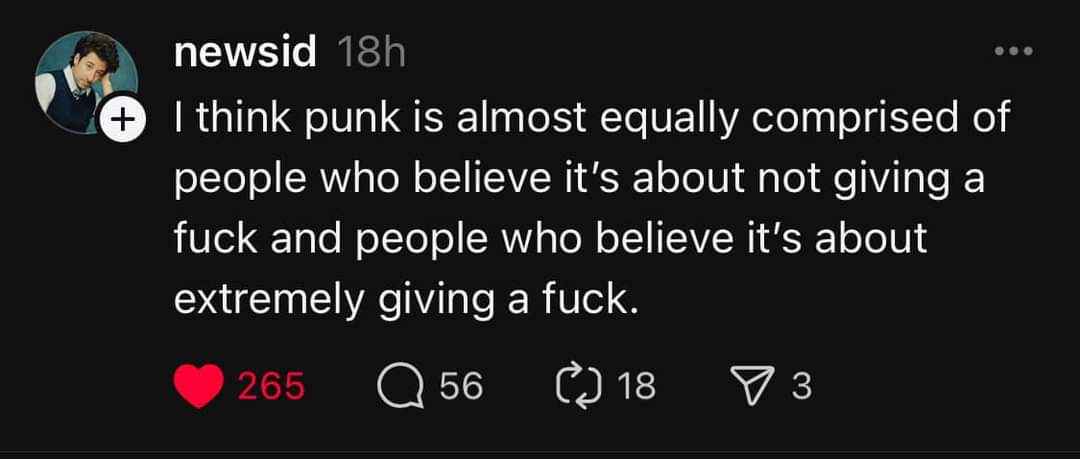 When you're trying to figure out the true meaning of punk music