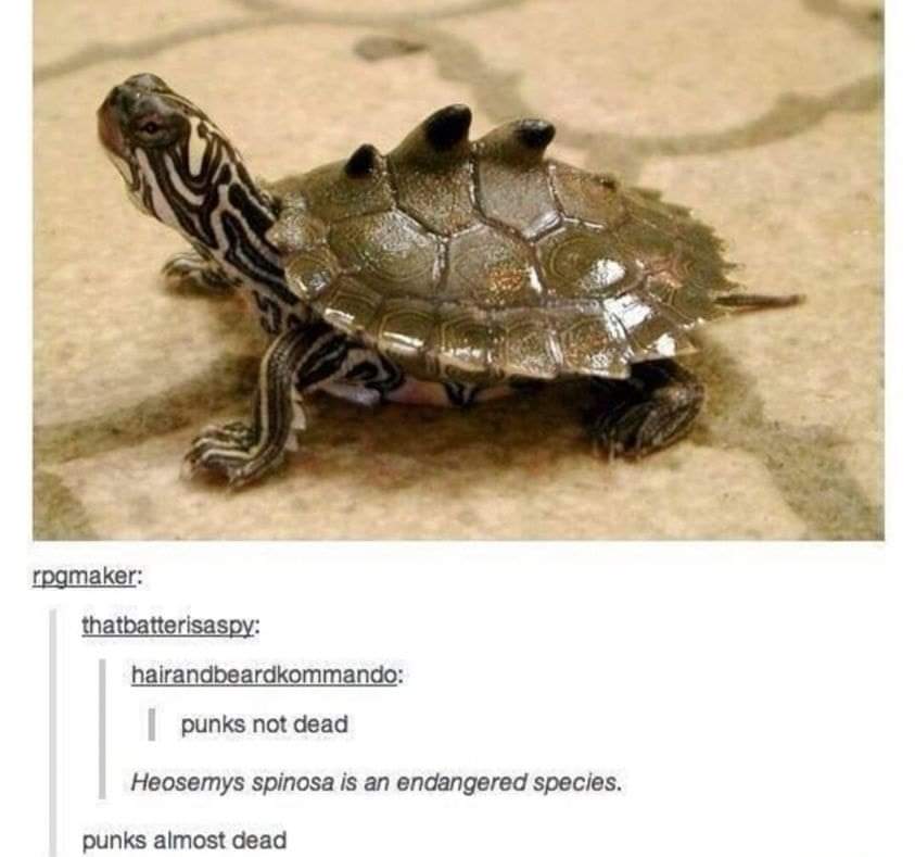 When you're a punk but also an endangered species, so like, are you still punk?
