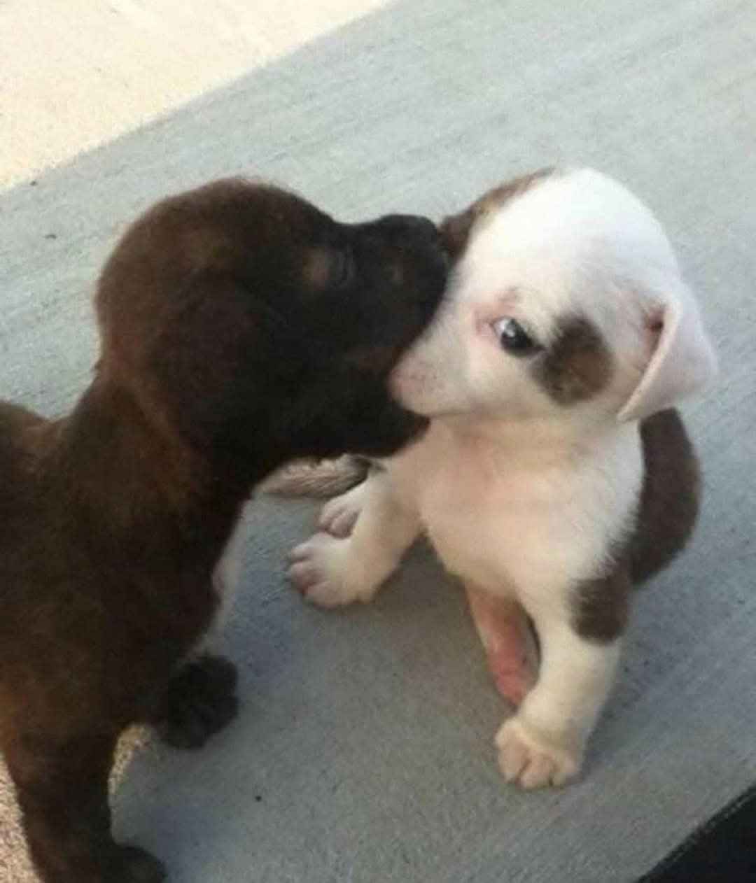 When ur friend explains something for the 10th time and you still don't get it