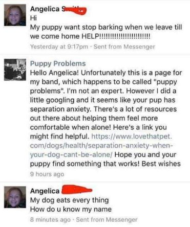 When you ask for dog advice on a page named 'puppy problems' and they explain it's literally their band name, not a help page.
