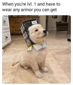 Me trying to put on whatever armor I can find when I'm only level 1.
