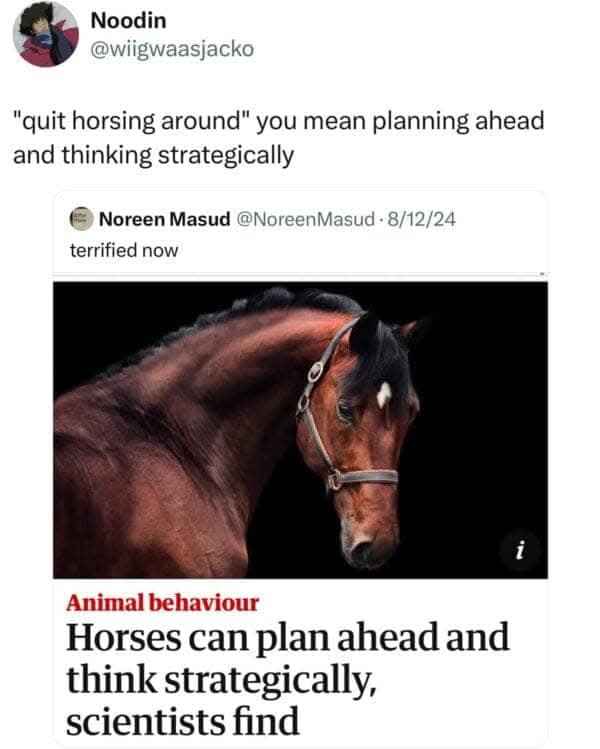 When the phrase 'quit horsing around' is literally proven wrong by science