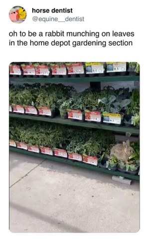 Honestly, same. Stuck in the Home Depot gardening section sounds like heaven.