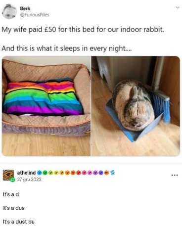 My rabbit prefers the dustpan and broom to the 50 pound bed we bought it lol