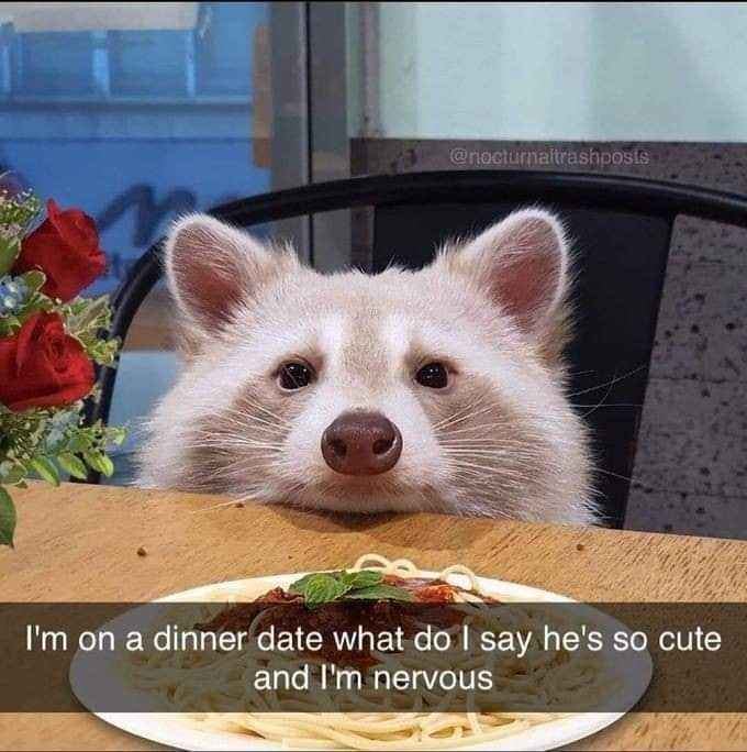 Me on a first date trying to play it cool but also freaking out bc he's so cute