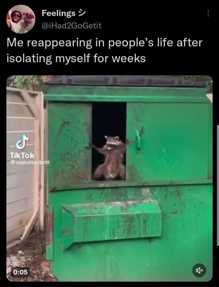 Me crawling out of my hideout after weeks of isolation like a raccoon emerging from a dumpster