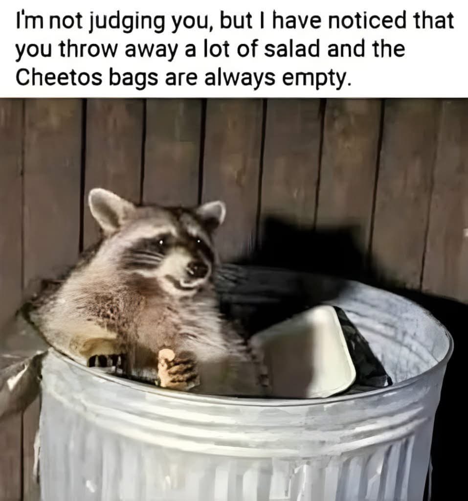 This raccoon is calling us out for our questionable dietary choices.