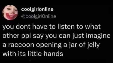 This is your brain on TikTok: ditch the advice and picture a raccoon with tiny hands making jelly.