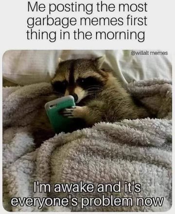 Me waking up and immediately distributing my terrible meme content. It's a public service, really.