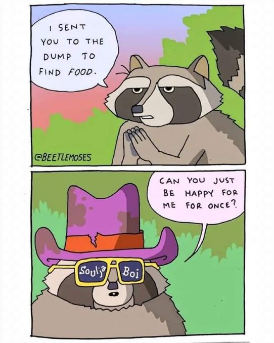 When you're trying to make your raccoon friend happy but they're too busy pursuing their dreams as a rapper.