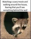 Me getting absolutely terrified walking around my own house after watching a scary movie