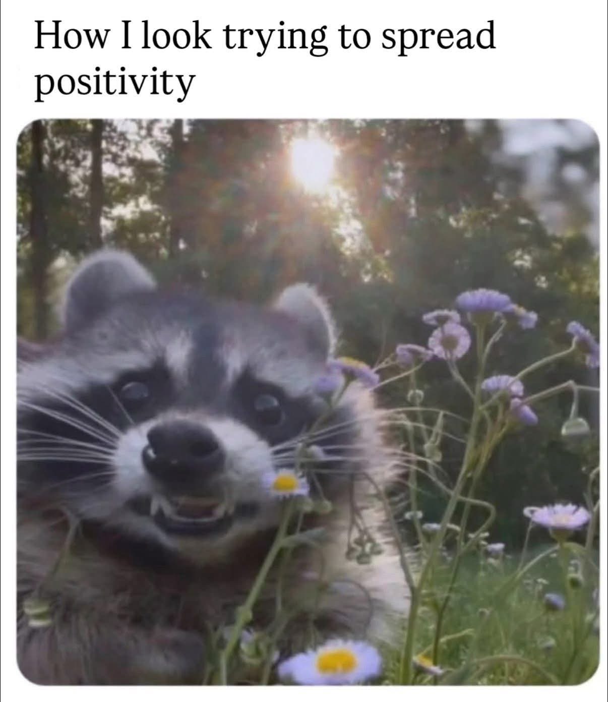 When you try to be happy and positive but your face says something else