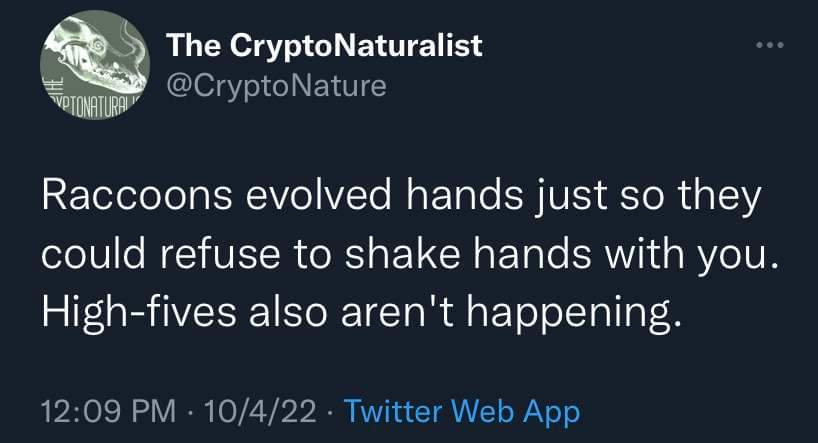 Raccoons developed hands solely to avoid handshakes and high-fives. So rude.