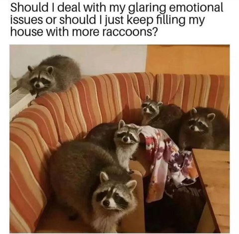 My strategy for dealing with problems is apparently just acquiring more raccoons.