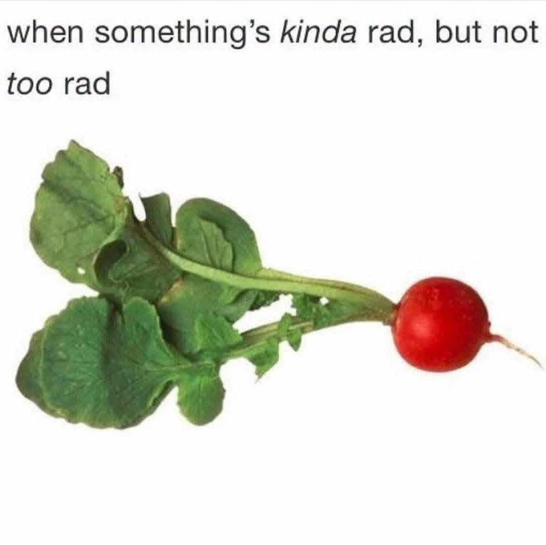 When it's only kinda rad, not too rad. Get it?